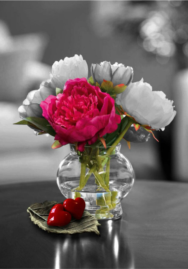 صور ورود الحب Rose Flower Love-عالم الصور