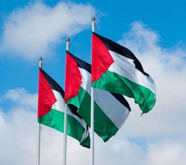 الفلسطيني العلم المجموعة 194