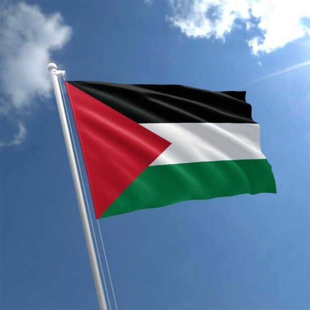 علم فلسطين 2018 بالصور-عالم الصور