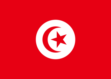 صور العلم العربي التونسي 2018-عالم الصور