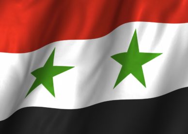 العلم السوري في صور-عالم الصور