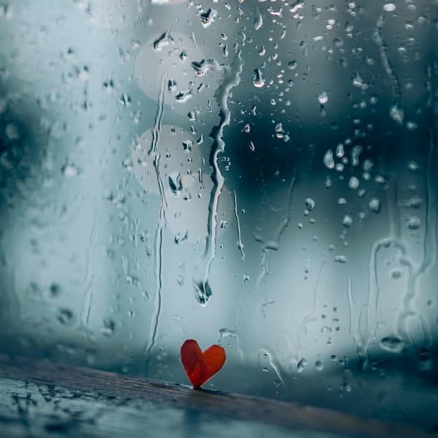 صور للمطر عن الحب - عالم الصور